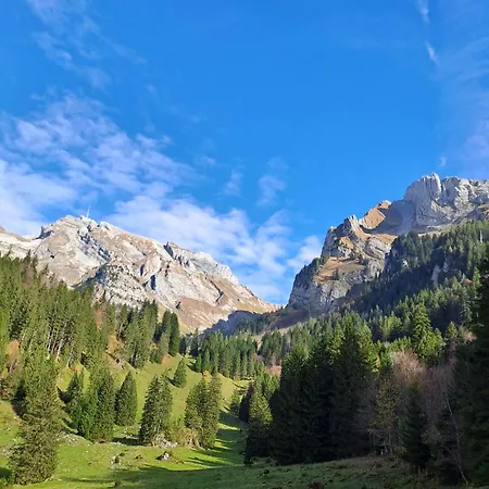 Eigene I St Gallen I Appenzell I Bodensee I St Anton I Seealpsee 아파트 Rebstein
